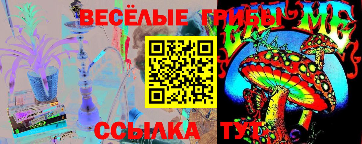 Галлюциногенные грибы Cubensis Салехард