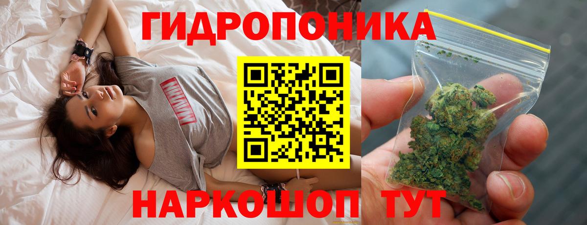 Бошки Шишки сатива Салехард